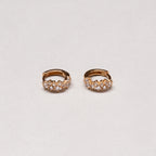 Stardust Huggie Hoop Earrings