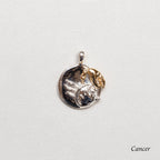 Sterling Silver Zodiac Pendant Charm Necklace