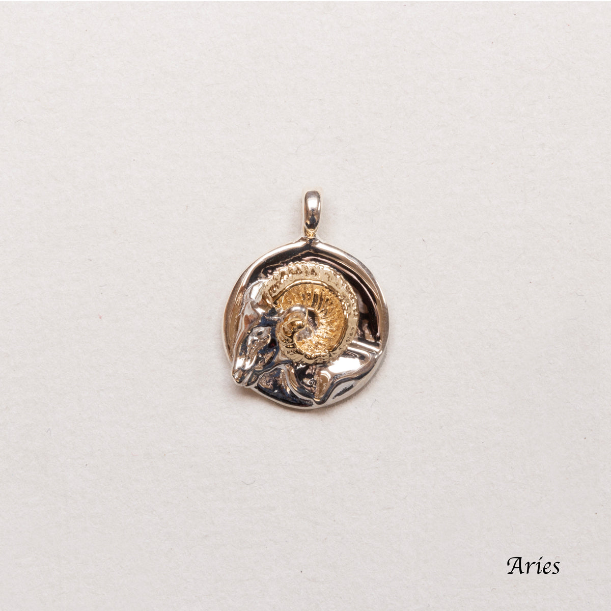 Sterling Silver Zodiac Pendant Charm Necklace