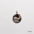 Sterling Silver Zodiac Pendant Charm Necklace