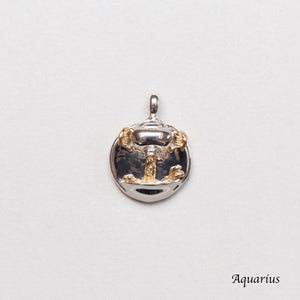 Sterling Silver Zodiac Pendant Charm Necklace