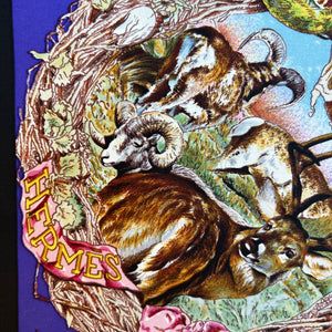 Vintage Hermes Silk Scarf "Texas Wildlife"